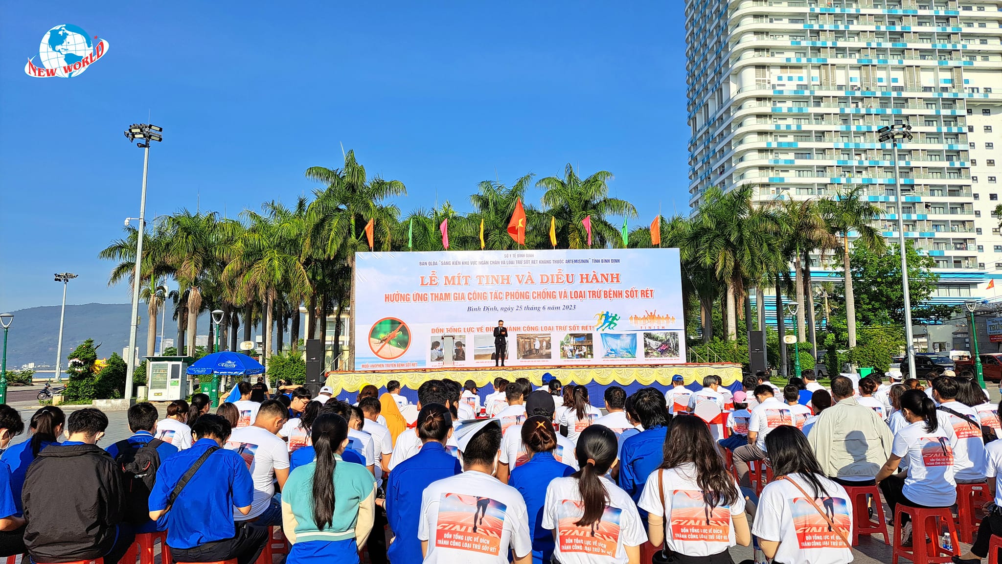 lễ mit tinh và diễu hành phòng chống sốt rét tại bình định lễ mit tinh và diễu hành phòng chống sốt rét tại bình định