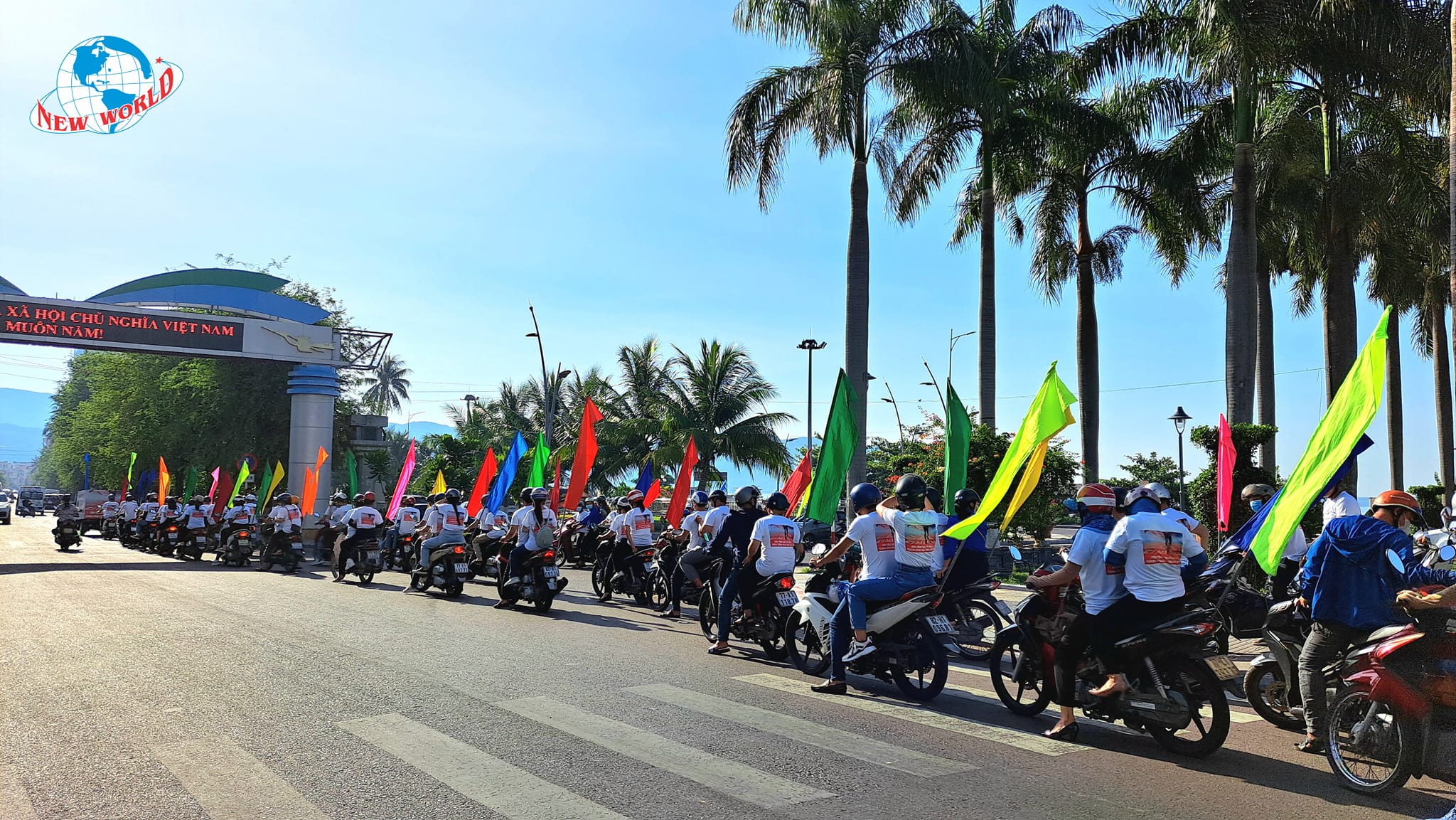 tổ chức lễ diễu hành chống sốt rét tại bình định tổ chức lễ diễu hành chống sốt rét tại bình định